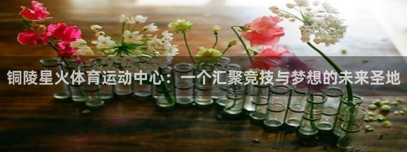 铜陵星火体育运动中心：一个汇聚竞技与梦想的未来圣地