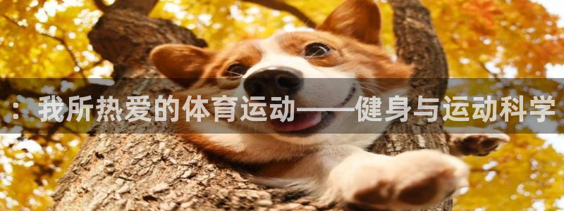 ：我所热爱的体育运动——健身与运动科学