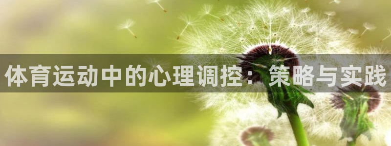 体育运动中的心理调控：策略与实践