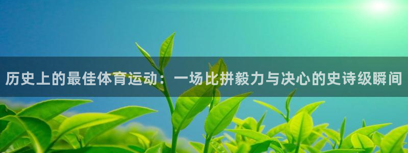 历史上的最佳体育运动：一场比拼毅力与决心的史诗级瞬间