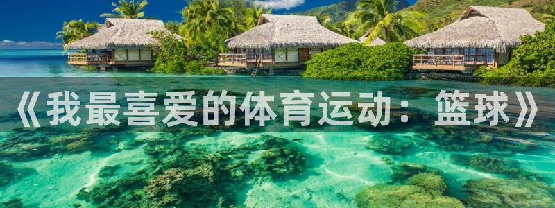 《我最喜爱的体育运动：篮球》